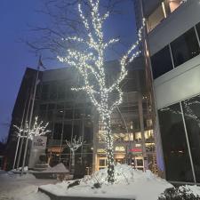 Professional-Commercial-Christmas-Lighting-Installation-in-Montreal 3